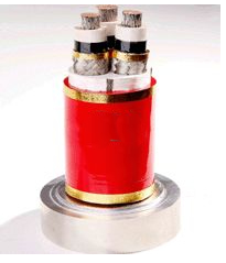 6/10KV�������μ�����������
